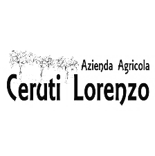 Logo Ceruti Lorenzo